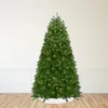 Northlight Pre-Lit Full Northern Pine Artificial Commercial Christmas Tree - 14' - Clear Lights -Northlight GUEST 03b552fd 46f2 4b06 b492 8accfc1b7161