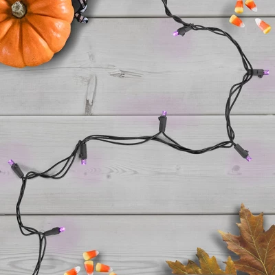 Northlight Wide Angle LED Christmas Lights - Purple - 16' Black Wire - 50ct 3 Northlight Wide Angle LED Christmas Lights - Purple - 16' Black Wire - 50ct