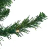 Northlight Pre-Lit Pencil Northern Balsam Fir Artificial Christmas Tree - 6' - Warm Clear LED Lights 1 Northlight Pre-Lit Pencil Northern Balsam Fir Artificial Christmas Tree - 6' - Warm Clear LED Lights -Northlight GUEST 1d297d18 e51d 4ad4 8172 55700d06c93b