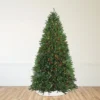 Northlight Pre-Lit Full Northern Pine Commercial Artificial Christmas Tree - 14' - Multi-Color Lights 2 Northlight Pre-Lit Full Northern Pine Commercial Artificial Christmas Tree - 14' - Multi-Color Lights -Northlight GUEST 204f1af6 6c88 41bf 9ae7 bf8b9aa795c9