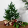Northlight Whitecap Pine Artificial Mini Christmas Tree - 14" - Unlit 1 Northlight Whitecap Pine Artificial Mini Christmas Tree - 14" - Unlit -Northlight GUEST 2e596226 f29c 41f0 a47a 95292ed20371