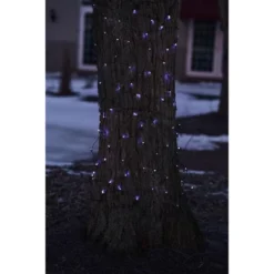 Northlight Mini Net Style Incandescent Christmas Lights - 2' X 8' - Blue - Brown Wire -Northlight GUEST 316c2007 72aa 4cf2 aaf5 d3384a9c1363