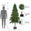 Northlight Pre-Lit Medium Alpine Artificial Christmas Tree - 7' - Clear Lights 1 Northlight Pre-Lit Medium Alpine Artificial Christmas Tree - 7' - Clear Lights -Northlight GUEST 356ac3b7 cd5a 402a a5fc f6cb1099d337