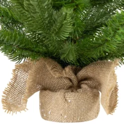 Northlight Real Touch™️ Potted Sarasota Pine Artificial Mini Christmas Tree - 24" - Unlit 14 Northlight Real Touch™️ Potted Sarasota Pine Artificial Mini Christmas Tree - 24" - Unlit -Northlight GUEST 5384a1d9 8963 4292 a044 d8029e9eef5e