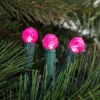 Northlight LED G12 Berry Christmas Lights - Pink - 16' Green Wire - 50 Ct -Northlight GUEST 53caf71a d8e3 47fd 8392 5cc148d00cb5