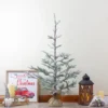 Northlight 3 FT Snow Covered Slim Pine Artificial Christmas Tree With Jute Base - Unlit 1 Northlight 3 FT Snow Covered Slim Pine Artificial Christmas Tree With Jute Base - Unlit -Northlight GUEST 5ae4d668 07b2 4b2f a8a7 a44cc0532841