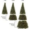 Northlight Pre-Lit Extend-A-Tree Adjustable Artificial Christmas Tree - 6' To 9' - Clear Lights 2 Northlight Pre-Lit Extend-A-Tree Adjustable Artificial Christmas Tree - 6' To 9' - Clear Lights -Northlight GUEST 72eb7300 03b4 4106 92d4 008548e3547b