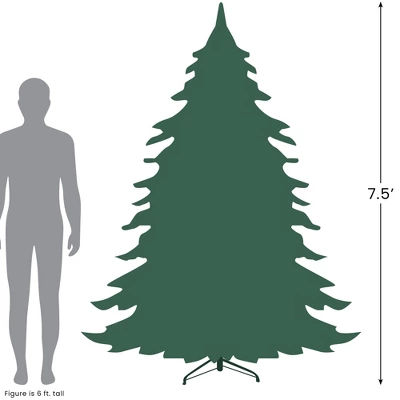 Northlight Real Touch™️ Pre-Lit Full Riverton Fir Artificial Christmas Tree - 7.5' - Candlelight Clear LED Lights 10 Northlight Real Touch™️ Pre-Lit Full Riverton Fir Artificial Christmas Tree - 7.5' - Candlelight Clear LED Lights - Image 8