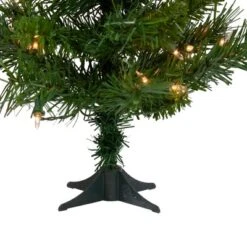 Northlight Pre-Lit Medium Royal Pine Artificial Christmas Tree - 2' - Clear Lights 12 Northlight Pre-Lit Medium Royal Pine Artificial Christmas Tree - 2' - Clear Lights -Northlight GUEST 86e596a2 ed07 4425 8bac 3ee2a1453423