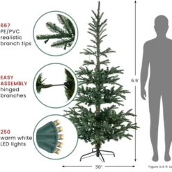 Northlight Real Touch™️ Pre-Lit Pencil Nordmann Fir Artificial Christmas Tree - 6.5' - Warm Clear LED Lights 16 Northlight Real Touch™️ Pre-Lit Pencil Nordmann Fir Artificial Christmas Tree - 6.5' - Warm Clear LED Lights -Northlight GUEST 87532dff cf00 4625 b499 805197cce026