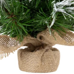 Northlight Whitecap Pine Artificial Mini Christmas Tree - 14" - Unlit 10 Northlight Whitecap Pine Artificial Mini Christmas Tree - 14" - Unlit -Northlight GUEST 950f2d55 9601 456d b760 24ee8f0eab27