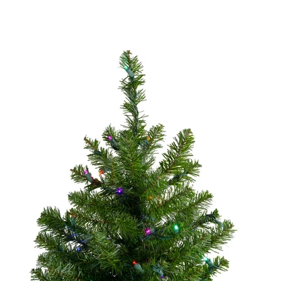 Northlight 2' Prelit Artificial Christmas Tree Canadian Pine - Multicolor LED Lights 4 Northlight 2' Prelit Artificial Christmas Tree Canadian Pine - Multicolor LED Lights - Image 2