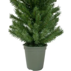 Northlight 4' Potted Virginia Pine Walkway Slim Artificial Christmas Tree - Unlit 10 Northlight 4' Potted Virginia Pine Walkway Slim Artificial Christmas Tree - Unlit -Northlight GUEST 975bc0b7 5b18 4dd1 9808 136bc2d036eb