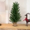 Northlight 2 FT Traditional Scottsdale Mini Pine Artificial Christmas Tree With Burlap, Unlit 2 Northlight 2 FT Traditional Scottsdale Mini Pine Artificial Christmas Tree With Burlap, Unlit -Northlight GUEST c3f10c62 a0d9 4ca3 aaaa a1b3f68fb4fc
