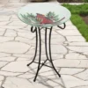 Northlight 21" Red Cardinal And Pine Cone Glass Bird Bath With Stand 1 Northlight 21" Red Cardinal And Pine Cone Glass Bird Bath With Stand -Northlight GUEST ce14cb13 3b0c 4b97 8f08 ba511676c07b