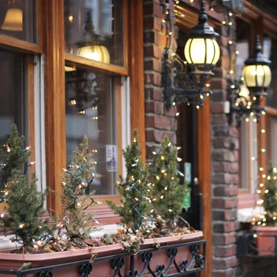 Northlight 10-Count Clear Mini Christmas Light Set - 3' Green Wire 9 Northlight 10-Count Clear Mini Christmas Light Set - 3' Green Wire - Image 7