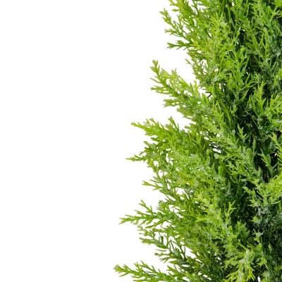 Northlight 1.4 FT Upswept Frosted Cedar Artificial Christmas Tree - Unlit 3 Northlight 1.4 FT Upswept Frosted Cedar Artificial Christmas Tree - Unlit