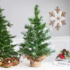 Northlight Whitecap Pine Artificial Mini Christmas Tree - 18" - Unlit -Northlight GUEST f8d17f49 9ea7 4761 9f82 7f767daf9726