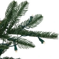 Northlight Real Touch™️ Pre-Lit Pencil Nordmann Fir Artificial Christmas Tree - 6.5' - Warm Clear LED Lights 13 Northlight Real Touch™️ Pre-Lit Pencil Nordmann Fir Artificial Christmas Tree - 6.5' - Warm Clear LED Lights -Northlight GUEST fe619e69 1844 457b bf65 1314e103d682